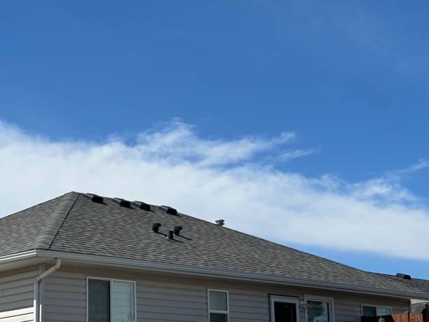 Best Commercial Roofing Services  in Emmaus, PA